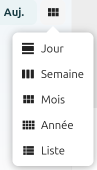 Capture d'écran de l'icône pour changer la vue de l’agenda en mois, semaines, ou jours.