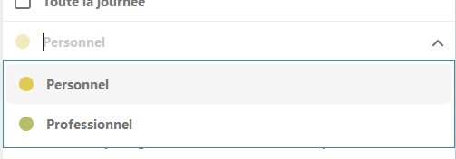 Capture d'écran d'un menu déroulant dans lequel on voit 2 listes "Personnel" et "Professionnel".