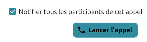 On voit une case à cocher qui est cochée, avec sur sa droite le texte "Notifier tous les participants de cet appel". En-dessous il y a un bouton avec une icône de téléphone et l'intitulé "Lancer l'appel".