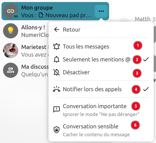 Menu des paramètres de notification pour la conversation 'Mon groupe' dans Nextcloud Talk. La barre latérale affiche les conversations, dont "Mon groupe est sélectionnée. Le menu propose six options de configuration des notifications :
- Tous les messages (non sélectionnée),
- Seulement les mentions @ (sélectionnée),
- Désactiver (non sélectionnée),
- Notifier lors des appels (sélectionnée),
- Conversation importante (avec l'option "Ignorer le mode Ne pas déranger"'),
- Conversation sensible (avec l'option "Cacher le contenu du message").
- Un bouton "Retour" est présent en haut du menu.