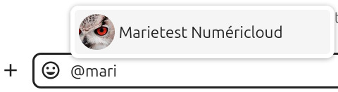 Capture d’écran du champ pour discuter. On y voit écrit @mari, et une petite fenêtre est apparue au-dessus avec le nom de la personne "Marietest Numericloud".