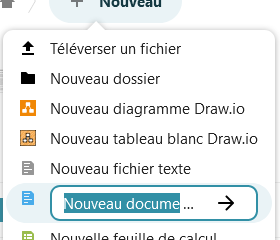 capture d'écran d'une partie de la fenêtre qui s'ouvre lorsqu'on clique sur le bouton "Nouveau +". On voit un champ à côté de l'icône du fichier "Nouveau document" dans lequel est écrit "Nouveau document", avec une flèche qui pointe vers la droite.