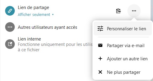 Capture d'écran d'une partie de l'onglet "Partage". On voit "Lien de partage" avec plus loin sur sa droite l'icône représentant le partage suivi de 3 points côte à côte sur lesquels on a cliqué, une fenêtre s'est ouverte avec les items "Personnaliser le lien", "Partager via e-mail", "Ajouter un autre lien" et "Ne plus partager". Dessous "Autres utilisateurs ayant accès". Dessous " lien interne Fonctionne uniquement pour les utilisateurs ayant accès à ce fichier" qui est encadré en rouge pour le distinguer.