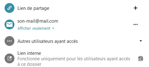 Capture d'écran d'une partie de la fenêtre de partage où l'on voit "Lien de partage". Dessous l'identifiant d'un utilisateur. Dessous "Afficher seulement". Dessous "Autres utilisateurs ayant accès". Dessous "Lien interne Fonctionne uniquement pour les utilisateurs ayant accès à ce dossier".