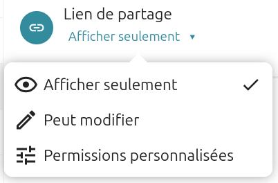 Capture d'écran d'une partie de la fenêtre de partage où l'on voit "Lien de partage". Dessous une fenêtre avec "Afficher seulement" avec une coche sur la droite, "Peut modifier" et "Permissions personnalisées".