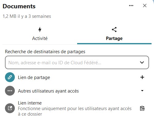 Capture d'écran du volet latéral, à droite de la page, qui s'ouvre lorsqu'on clique sur l'icône de partage. On voit 2 onglets de gauche à droite "Activité" et "Partage" qui est celui d’ouvert. On y voit le texte "Recherche de destinataires de partages" en-dessous un champ à remplir, en-dessous "lien de partage", "Autres utilisateurs ayant accès" et "Lien interne Fonctionne uniquement pour les utilisateurs ayant accès à ce dossier".