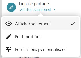 Capture d'écran d'une partie de la fenêtre de partage où l'on voit "Lien de partage". Dessous "Afficher seulement" sur lequel on a cliqué, est apparu une fenêtre avec "Afficher seulement", "Peut modifier" et "Permissions personnalisées".