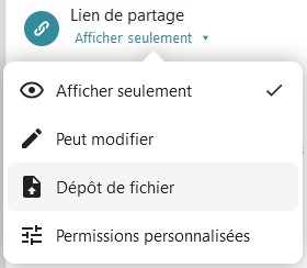 Capture d'écran d'une partie de la fenêtre de partage où l'on voit "Lien de partage". Dessous "Afficher seulement" sur lequel on a cliqué, est apparu une fenêtre avec "Afficher seulement", "Peut modifier", "Dépôt de fichier" et "Permissions personnalisées".