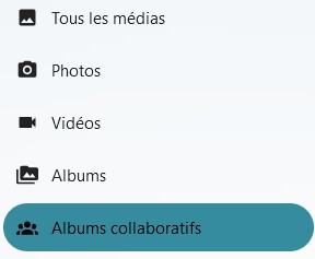 Capture d'écran d'une partie du côté gauche de la page principale de l'application. On voit 5 items "Tous les médias", "Photos", "Vidéos", "Albums" et "Albums collaboratifs" qui est sur un fond vert foncé pour le distinguer des autres qui sont sur un fond gris très clair.