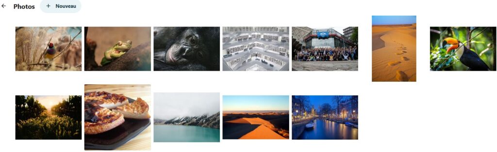 Capture d'écran d'une partie de la page d'un dossier présent dans l'application "Photos". On voit en haut le titre "Photos", à sa droite le bouton "+ Nouveau". Dessous l'ensemble des images qui constitues le dossier. Elles sont alignées sur 2 lignes.