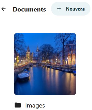 Capture d'écran d'une partie de la page des documents e l'application photos. On voit en haut le titre "Documents", à sa droite le bouton "+ Nouveau". Dessous la vignette d'un dossier nommé "Images", constituée d'une image faisant partie de ce dossier.