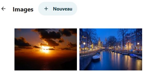 Capture d'écran d'une partie de la page d'un dossier. On voit en haut le nom du dossier 'Images", à sa droite le bouton "+ Nouveau". Dessous 2 images constituants le dossier.