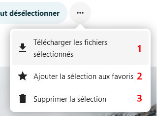 Capture d'écran de la fenêtre qui s'ouvre en cliquant sur les trois points. Il y a des items les uns en-dessous des autres "Télécharger les fichiers sélectionnés", "Ajouter la sélection aux favoris" et "Supprimer la sélection". Il y a un chiffre de 1 à 3 sur la droite de ces items dans l'ordre de citation.