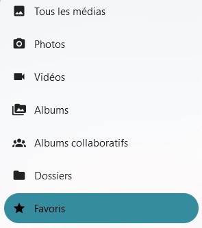 Capture d'écran d'une partie du côté gauche de la page principale de l'application. On voit 7 items "Tous les médias", "Photos", "Vidéos", "Albums", "Albums collaboratifs", "Dossiers" et "Favoris" qui est sur un fond vert foncé pour le distinguer des autres qui sont sur un fond gris très clair.