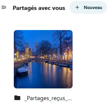 Capture d'écran d'une partie de la page des partages. En haut on voit le nom de la page "Partagés avec vous", à sa droite le bouton "+ Nouveau". en-dessous une vignette, puis en-dessous l'icône d'un dossier avec à sa droite "_Partages_reçus_...".