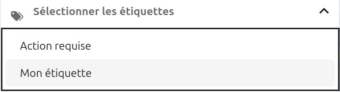 Capture d'écran de l'item "Sélectionner les étiquettes" qui est déployé. On voit l'intitulé "Mon étiquette" juste en-dessous.
