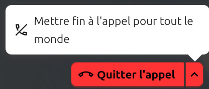 Bouton avec une icône de téléphone à l'horizontale, à sa droite le texte "Quitter l'appel". A droite un chevron vers le haut, qui a été cliqué, d'où apparaît une bulle avec l'icône d'un téléphone barré et à droite "Mettre fin à l'appel pour tout le monde".